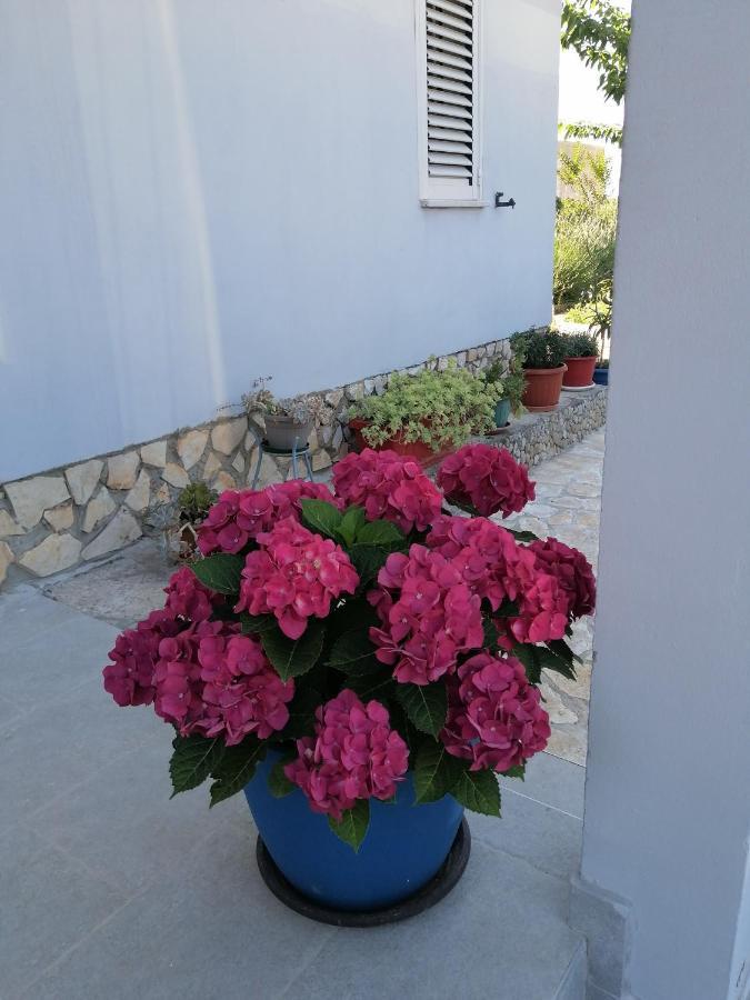 PUY Apartman Antonija מראה חיצוני תמונה